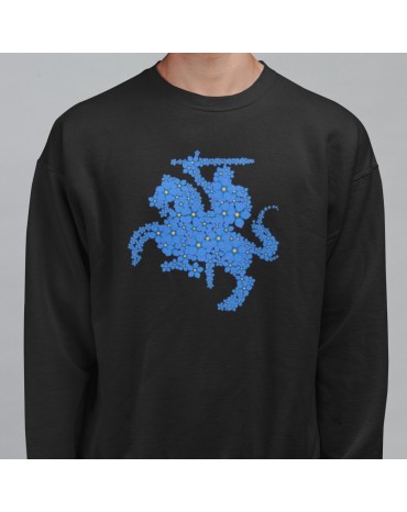 Džemperis su užrašu "Vytis...