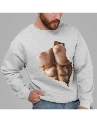 Džemperis su paveikslėliu...