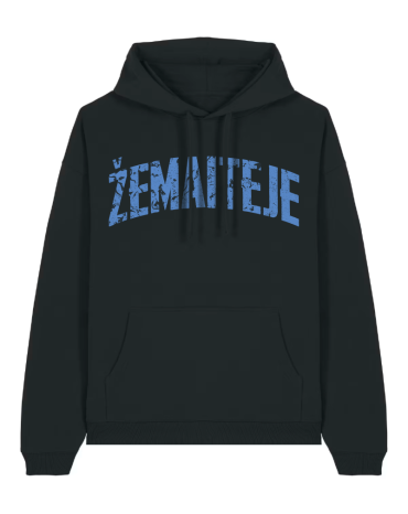 Džemperis su gobtuvu...