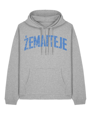 Džemperis su gobtuvu...