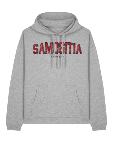 Džemperis su gobtuvu...