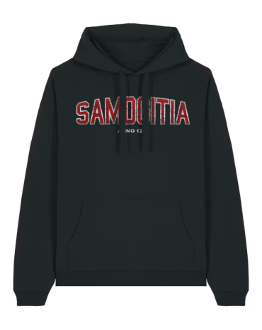 Džemperis su gobtuvu...